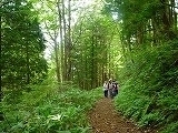森の中に人のいる写真