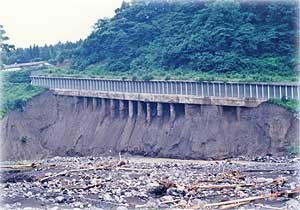 土砂が崩れて杭がむき出しになっている写真