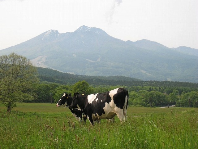 町営牧場