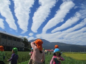 空を見上げてる園児の写真